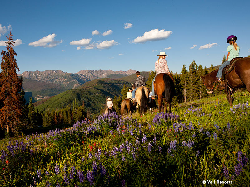 activities-horseback